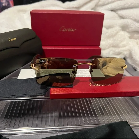 Authentic Cartier glasses (brand new never worn)